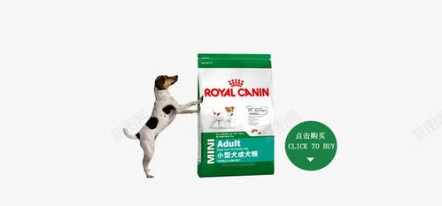 狗粮促销广告高清素材 免抠 页面网页 平面电商 创意素材 png素材 狗粮素材
