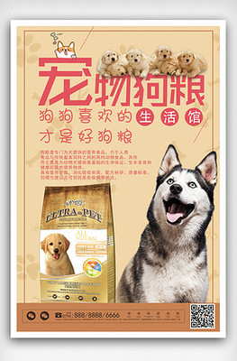 简约时尚宠物店 专为爱犬打造的健康美味狗粮