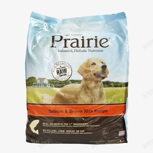 进口狗粮 平面电商创意素材设计指南